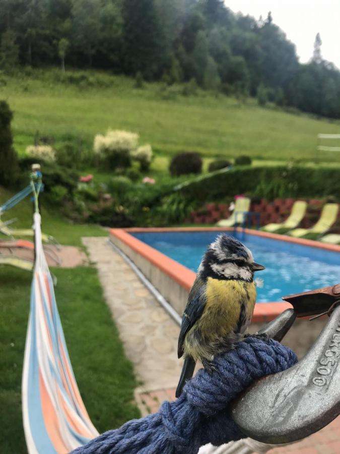 Apartamenty Kadlubek Wisła Esterno foto